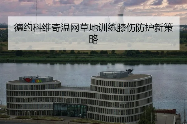 de-yue-ke-wei-qi-wen-wang-cao-di-xun-lian-xi-shang-fang-hu-xin-ce-lve-2-492.jpg