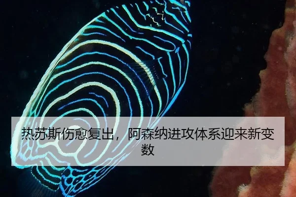 热苏斯伤愈复出，阿森纳进攻体系迎来新变数