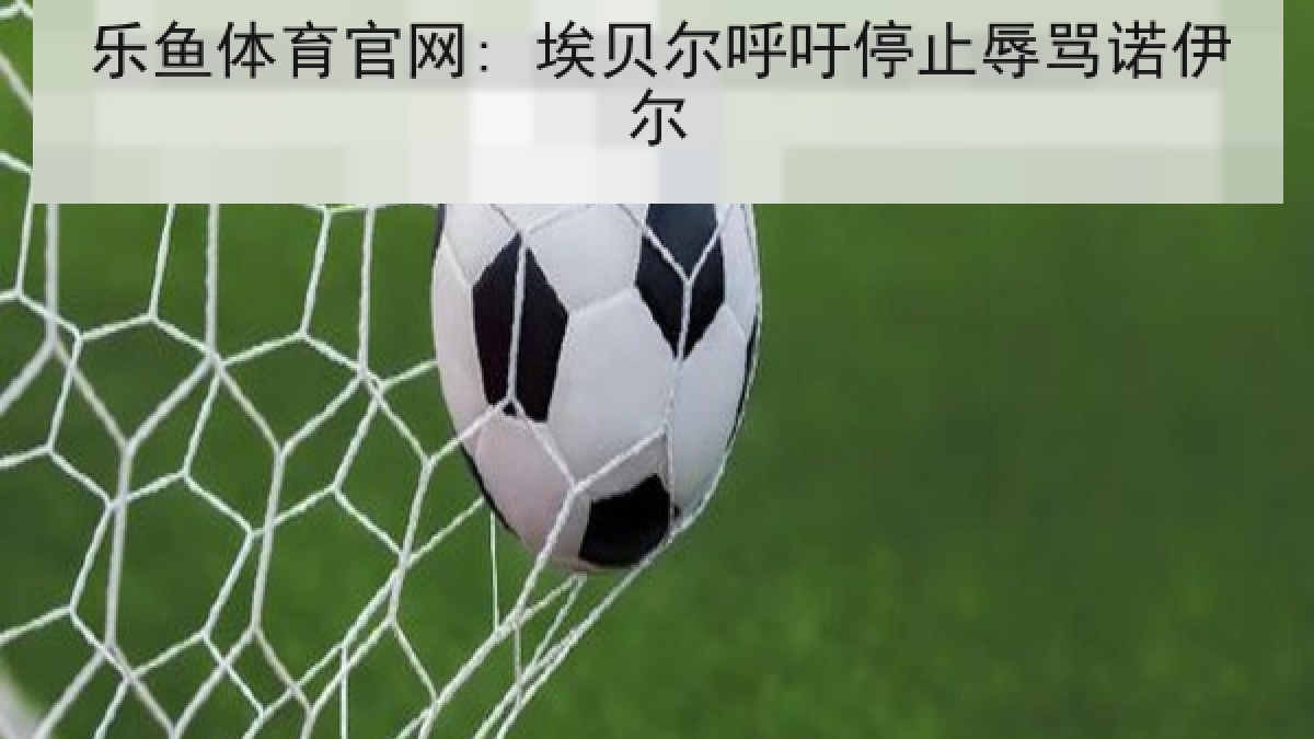 乐鱼体育官网: 埃贝尔呼吁停止辱骂诺伊尔