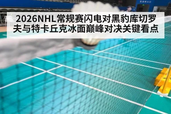 2026NHL常规赛闪电对黑豹库切罗夫与特卡丘克冰面巅峰对决关键看点